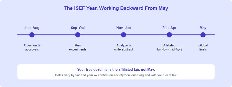A 12-month ISEF timeline from summer planning through May finals, showing five phases