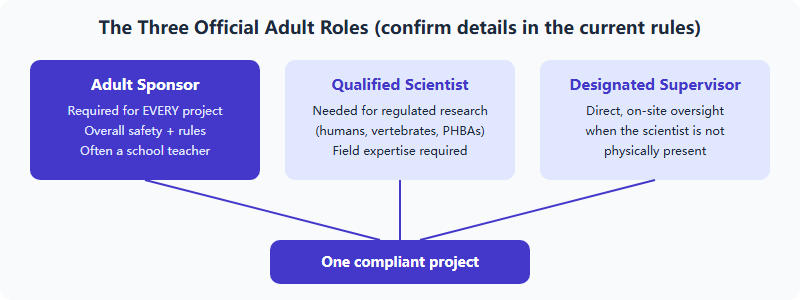 Diagram of the three official adult roles at ISEF: Adult Sponsor required for every project, Qualified Scientist for regulated research, and Designated Supervisor for direct oversight, all feeding into one compliant project