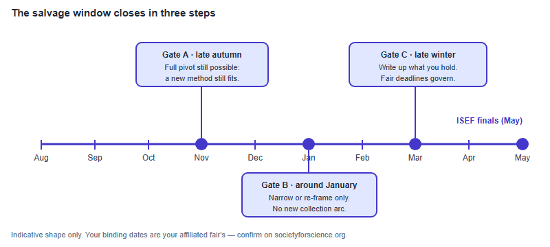 A timeline from August to May showing three decision gates: a late-autumn window where a full pivot is still possible, a mid-winter point after which only narrowing or re-framing is realistic, and a late-winter point where you must write up whatever you have before fair deadlines.